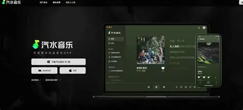 汽水音乐应用商店异常处理