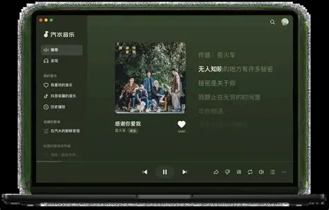 汽水音乐安装环境检查