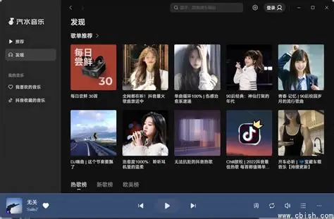 汽水音乐本地缓存与文件修复